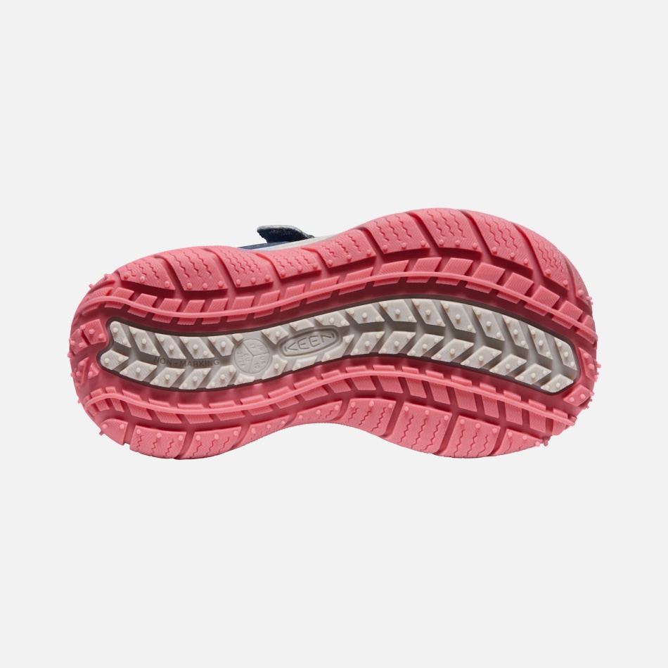 Ala Azul Verde Azulado-fruta Paloma Sabueso De Velocidad Para Niños Pequeños