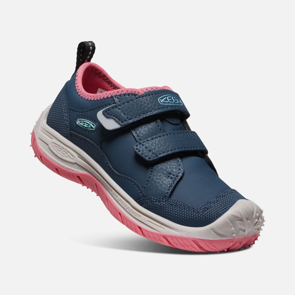 Ala Azul Verde Azulado-fruta Paloma Sabueso De Velocidad Para Niños Pequeños