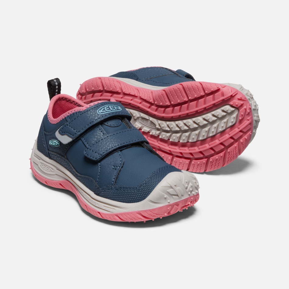 Ala Azul Verde Azulado-fruta Paloma Sabueso De Velocidad Para Niños Pequeños