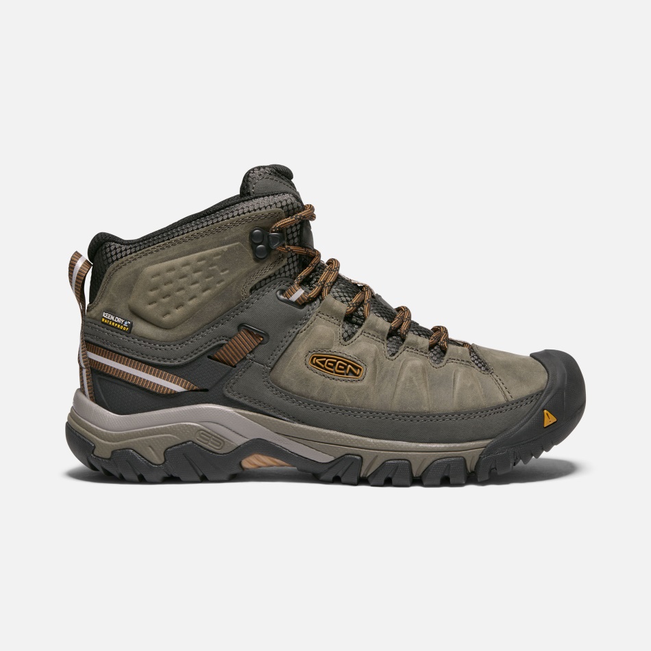 Negro Oliva-marrón Dorado Sharp Men's Targhee Iii Impermeable Mid Wide