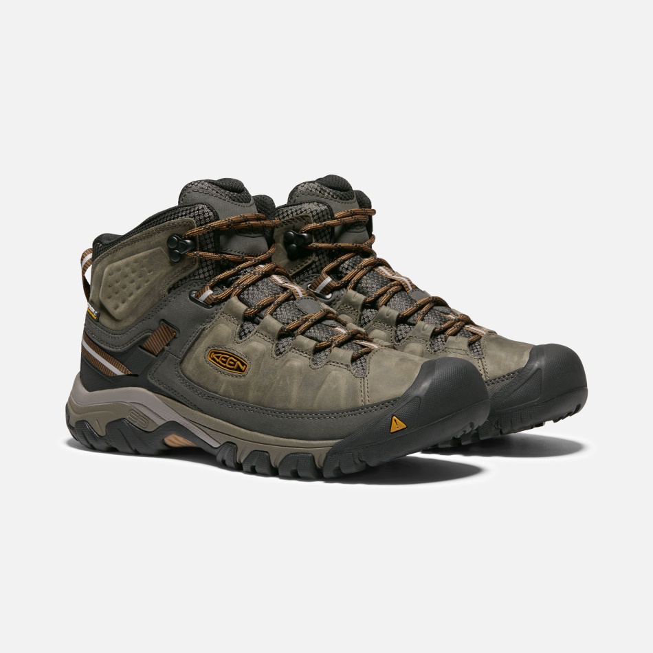 Negro Oliva-marrón Dorado Sharp Men's Targhee Iii Impermeable Mid Wide
