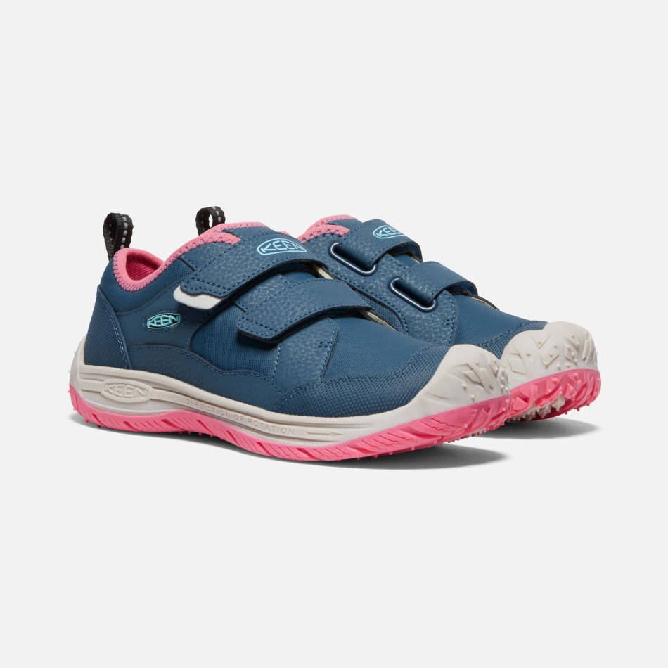 Ala Azul, Paloma De La Fruta Verde Azulado, Sabueso De Velocidad Para Niños Grandes Entusiastas