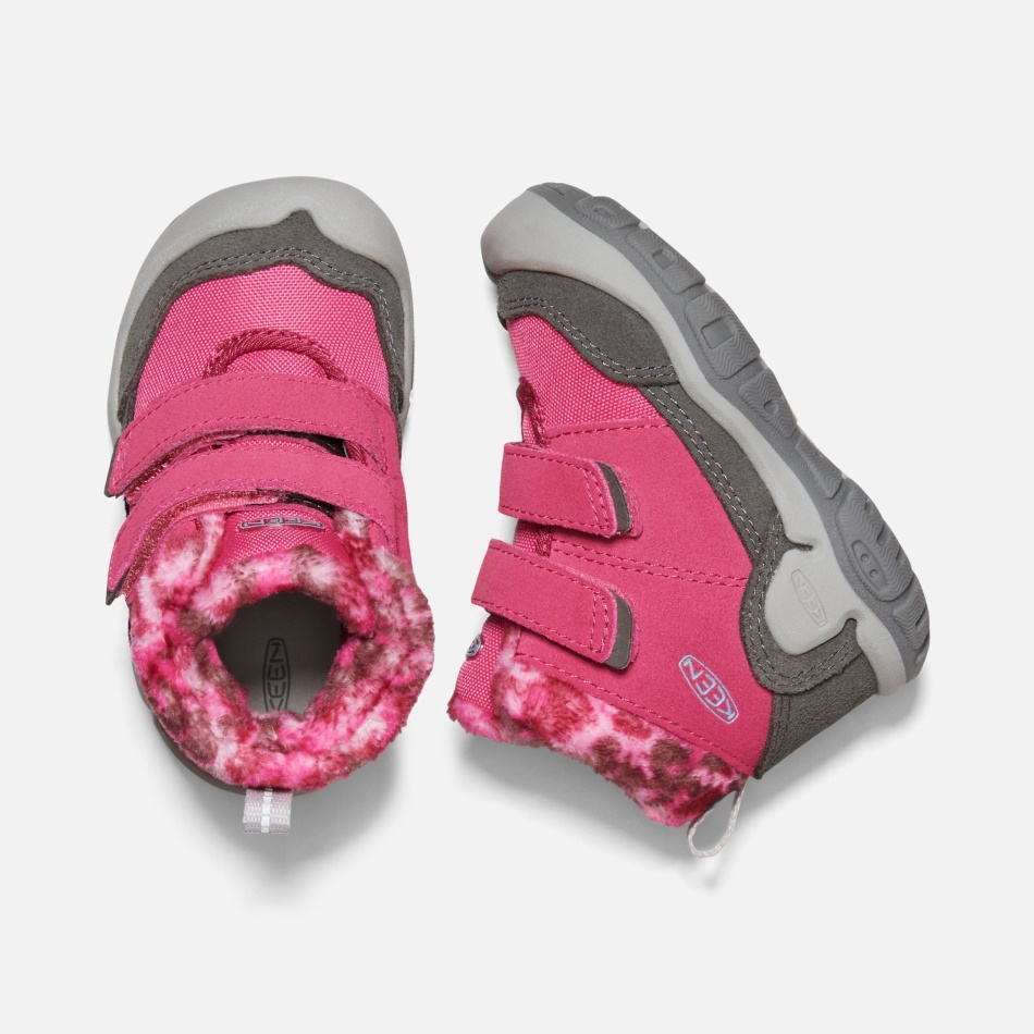 Chukka Con Correa Doble Y Nudo Para Niños Pequeños En Negro Paloma De La Fruta Aguda