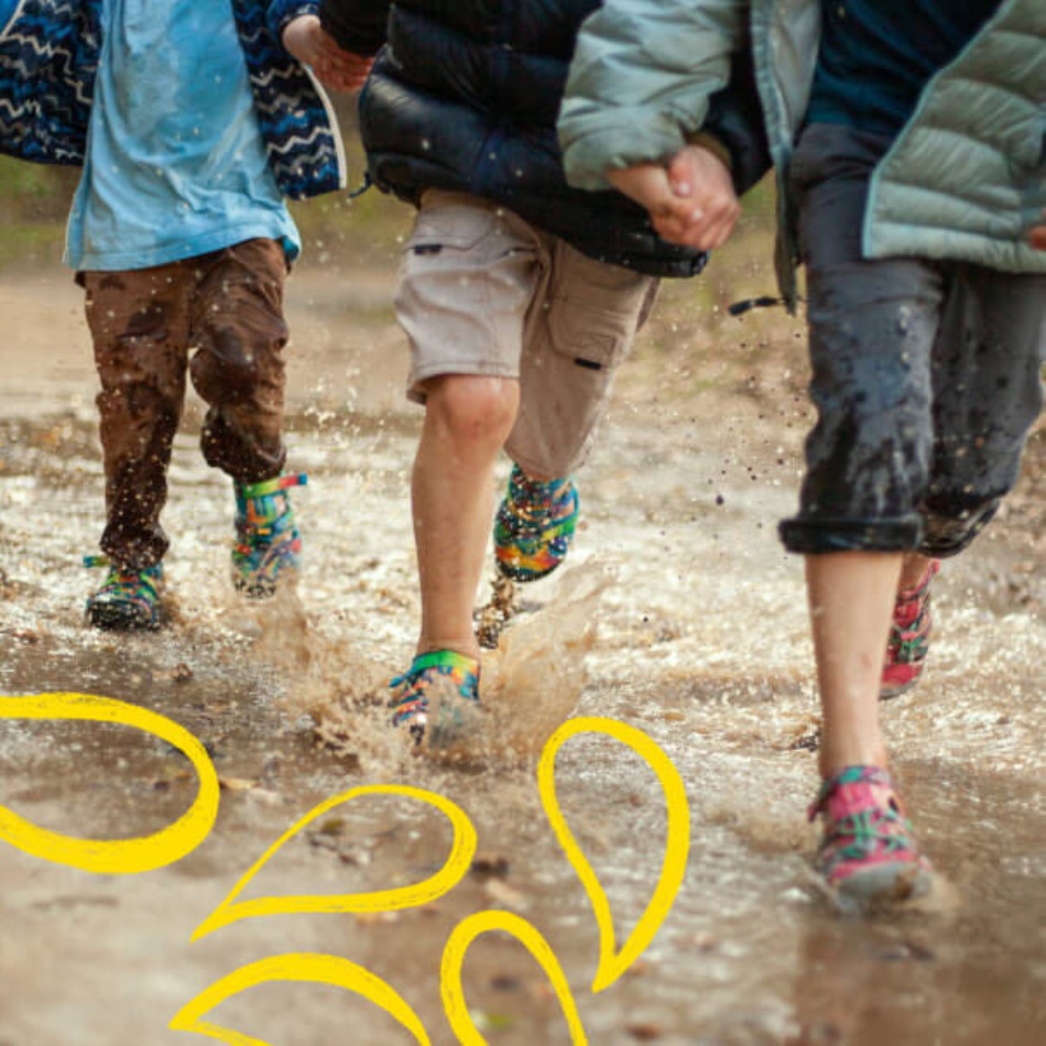 Gran Camo-tillandsia Púrpura Niños Grandes Seacamp Ii Cnx