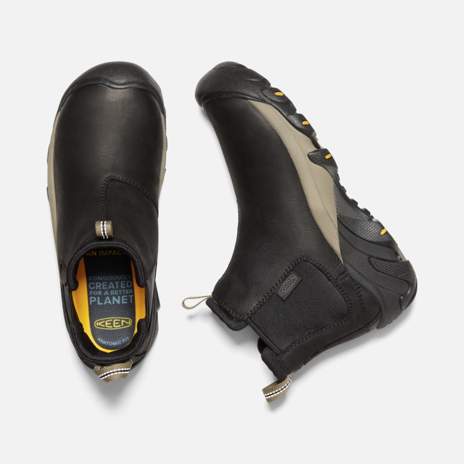 Objetivos Femeninos Entusiastas De Color Negro Atigrado En Chelsea