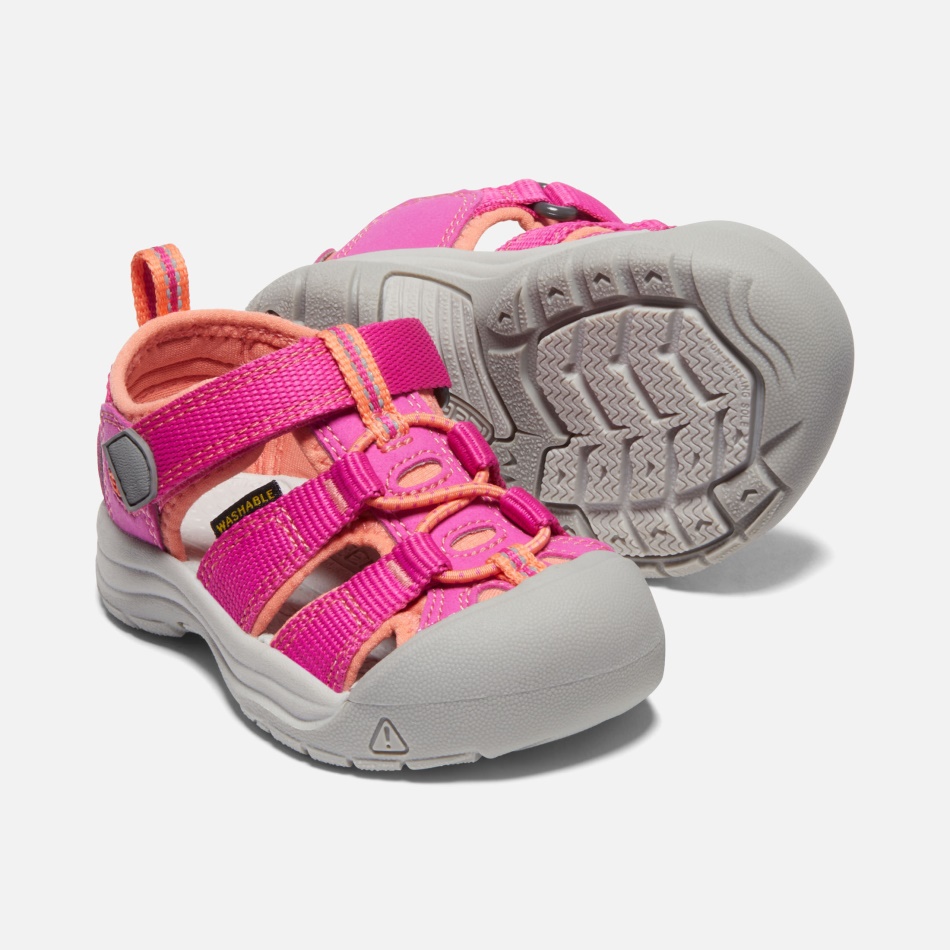 Newport H2 Para Niños Pequeños De Coral De Fusión De Bayas Muy Entusiasta