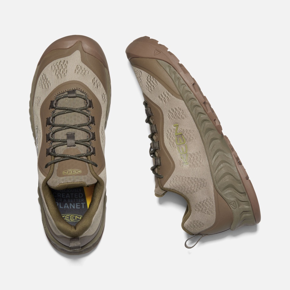 La Velocidad Del Nxis De Los Hombres Entusiastas Atigrados De La Cantina