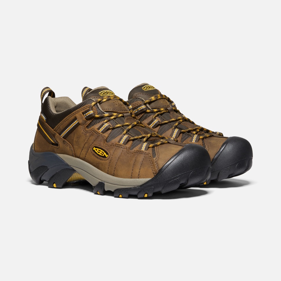Sharp Cascade Brown-golden Yellow Men's Targhee Ii Impermeable Ancho